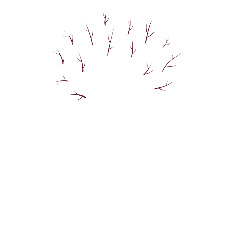 Laura Messina Logo
